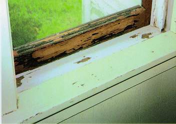 window sill
