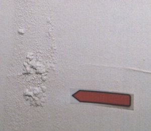 Moisture Damage